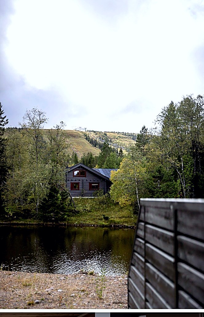 Utsikt mot backen
